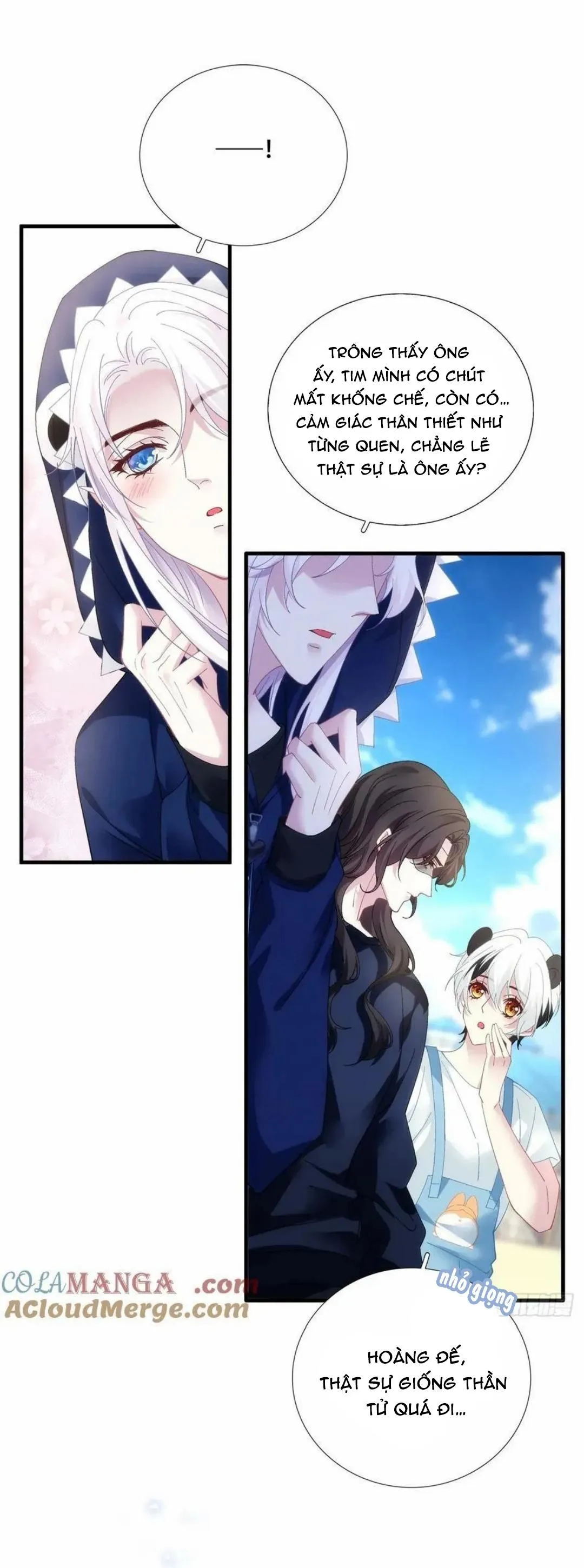 Thánh Tâm không dễ chọc Chapter 56 Trang 11