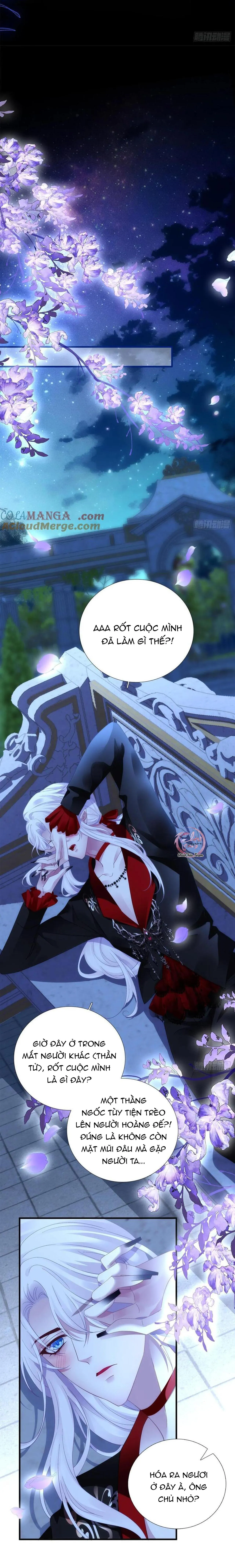 Thánh Tâm không dễ chọc Chapter 58 Trang 22