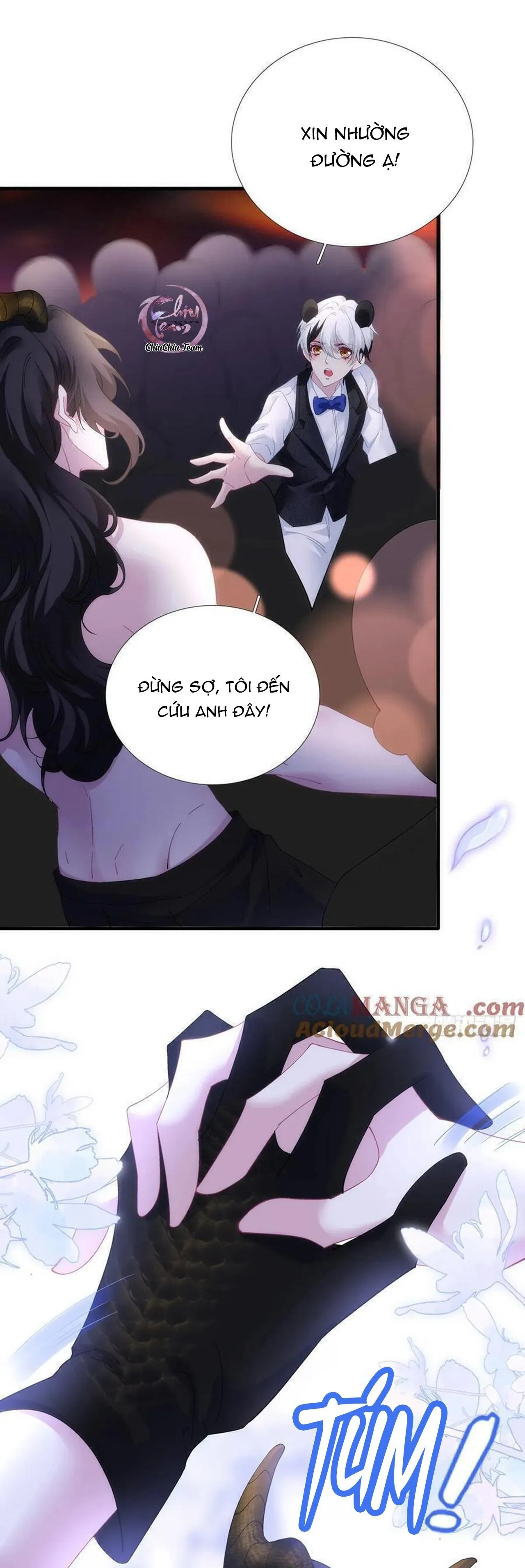 Thánh Tâm không dễ chọc Chapter 63 Trang 3