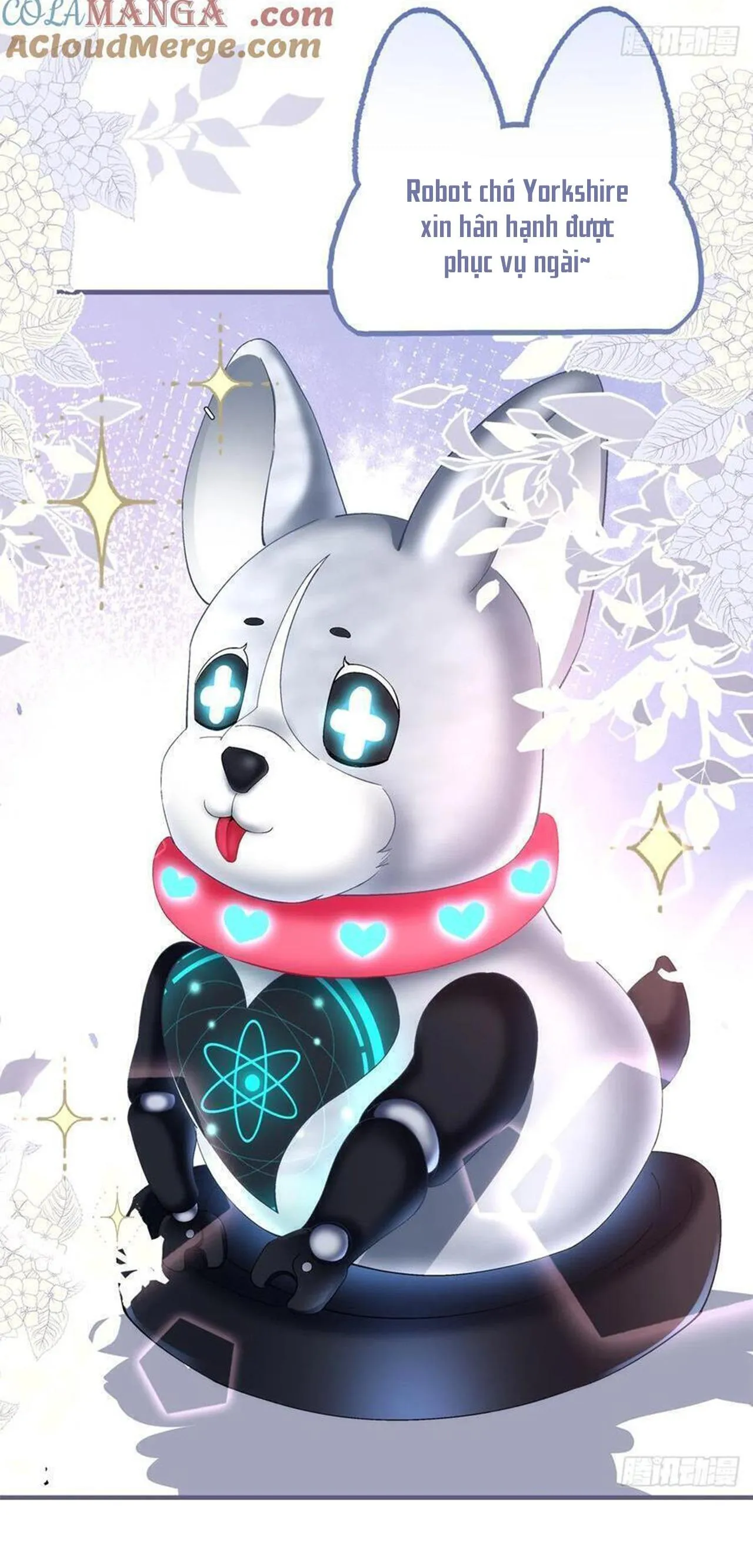 Thánh Tâm không dễ chọc Chapter 64 Trang 32