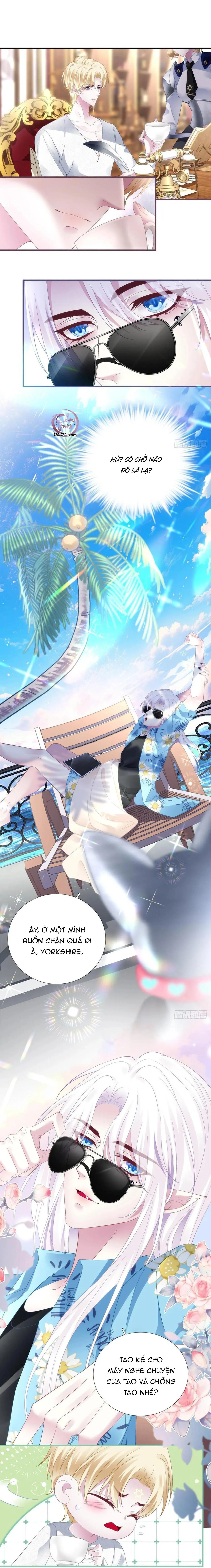 Thánh Tâm không dễ chọc Chapter 65 Trang 10