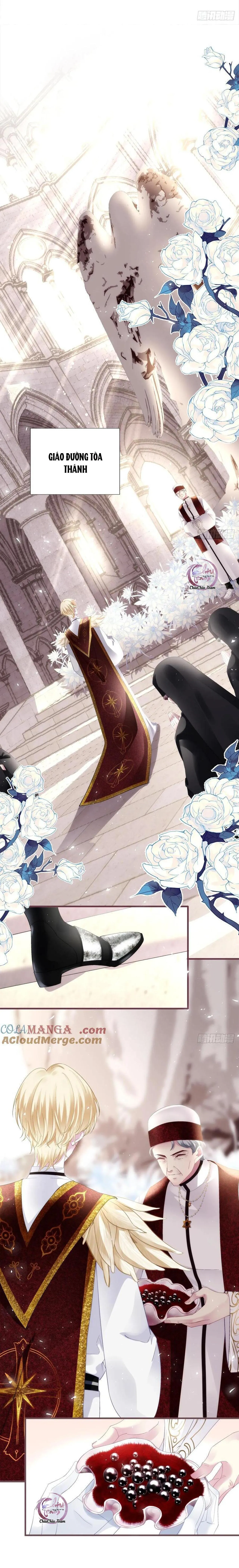 Thánh Tâm không dễ chọc Chapter 65 Trang 17