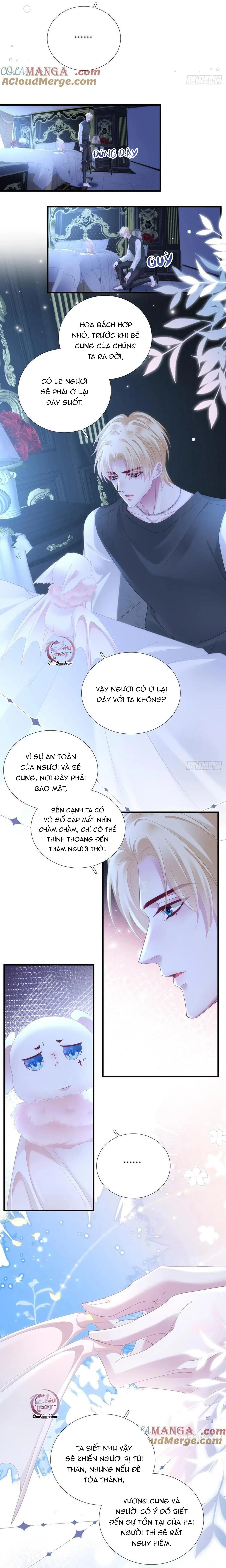 Thánh Tâm không dễ chọc Chapter 67 Trang 3