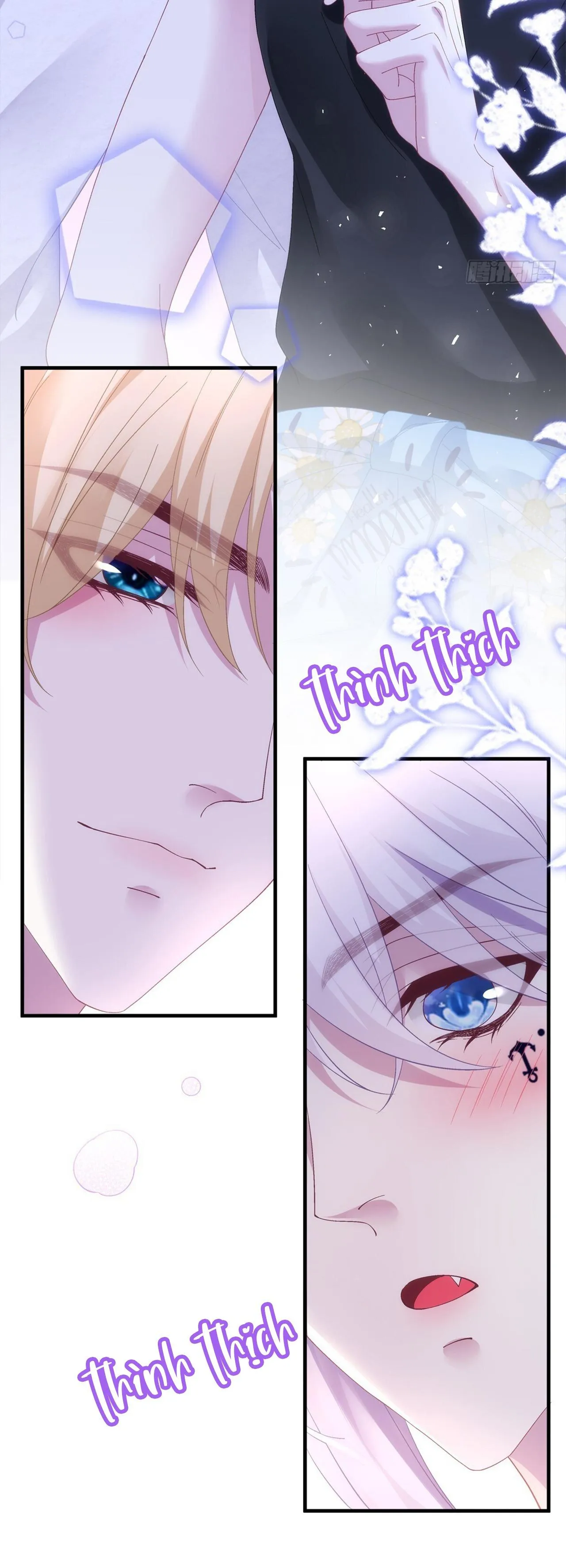 Thánh Tâm không dễ chọc Chapter 68 Trang 24