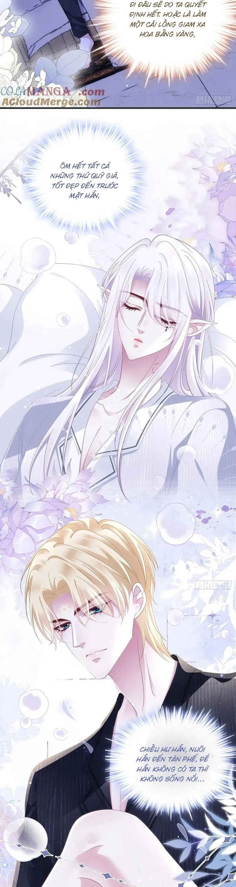 Thánh Tâm không dễ chọc Chapter 69 Trang 24