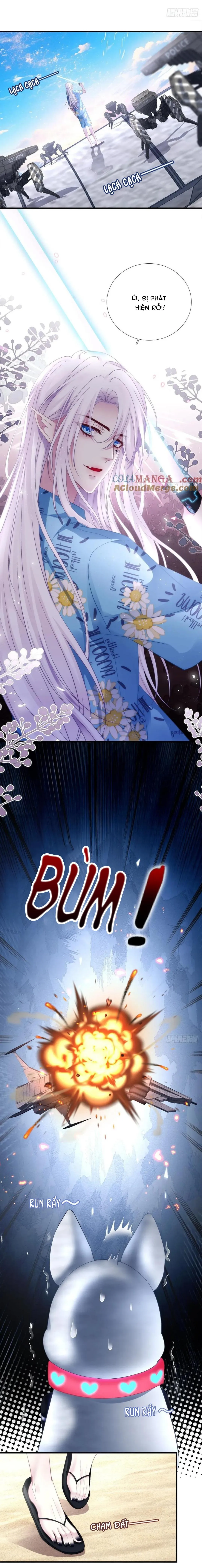 Thánh Tâm không dễ chọc Chapter 70 Trang 14