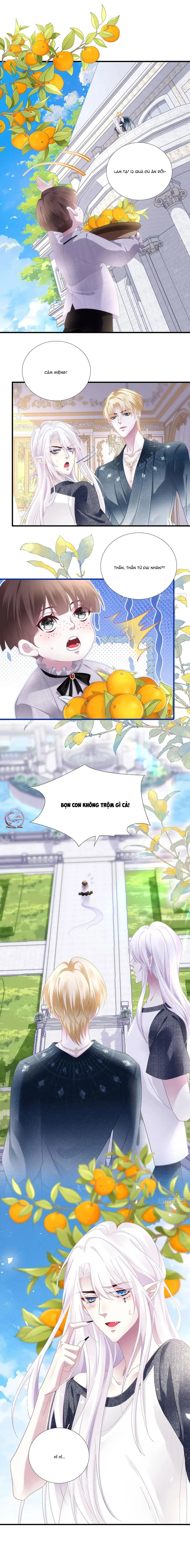 Thánh Tâm không dễ chọc Chapter 86 Trang 5