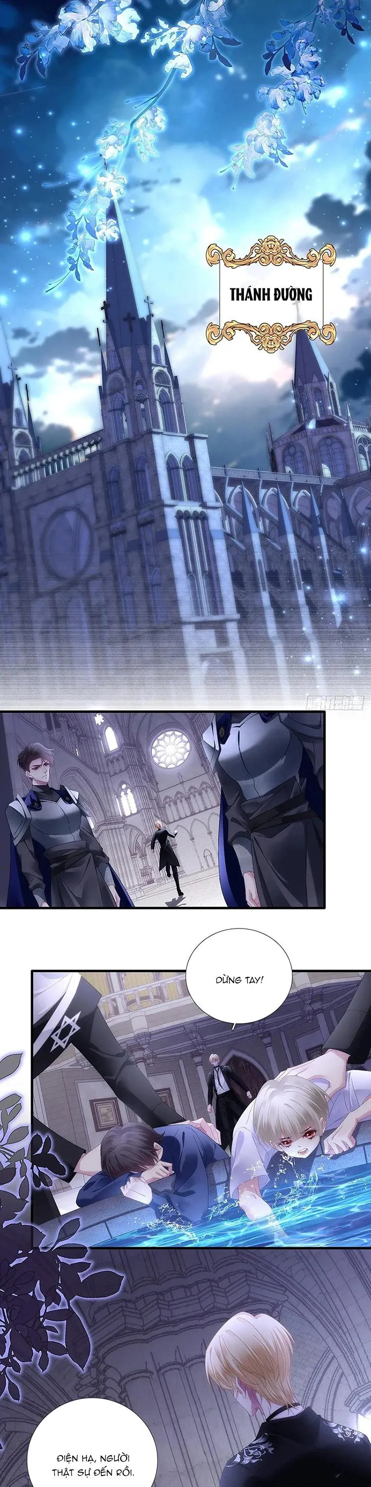 Thánh Tâm không dễ chọc Chapter 87 Trang 17