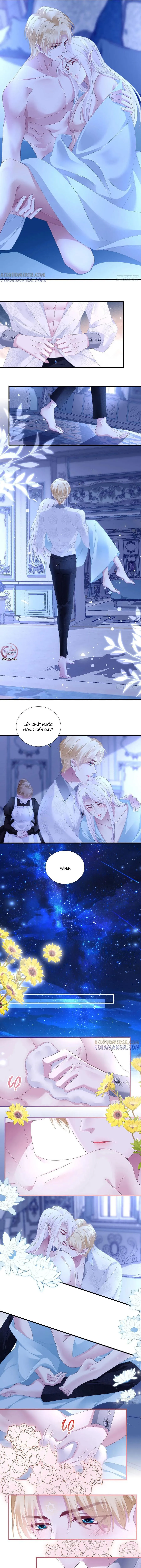 Thánh Tâm không dễ chọc Chapter 94 Trang 8