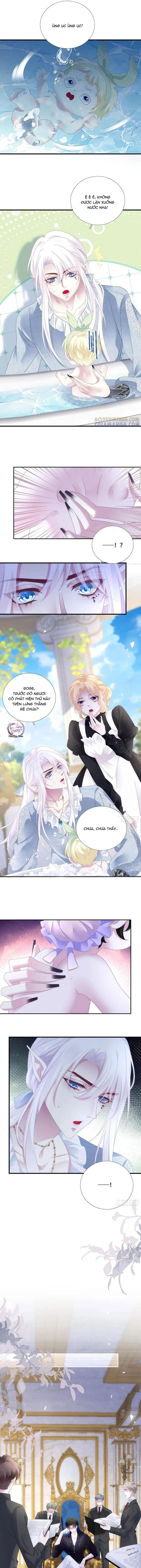Thánh Tâm không dễ chọc Chapter 95 Trang 5
