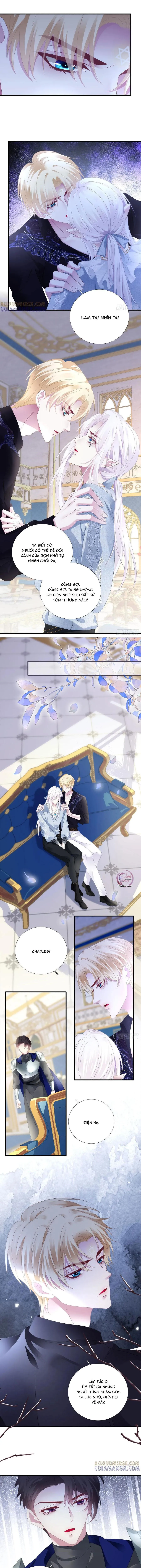 Thánh Tâm không dễ chọc Chapter 95 Trang 8