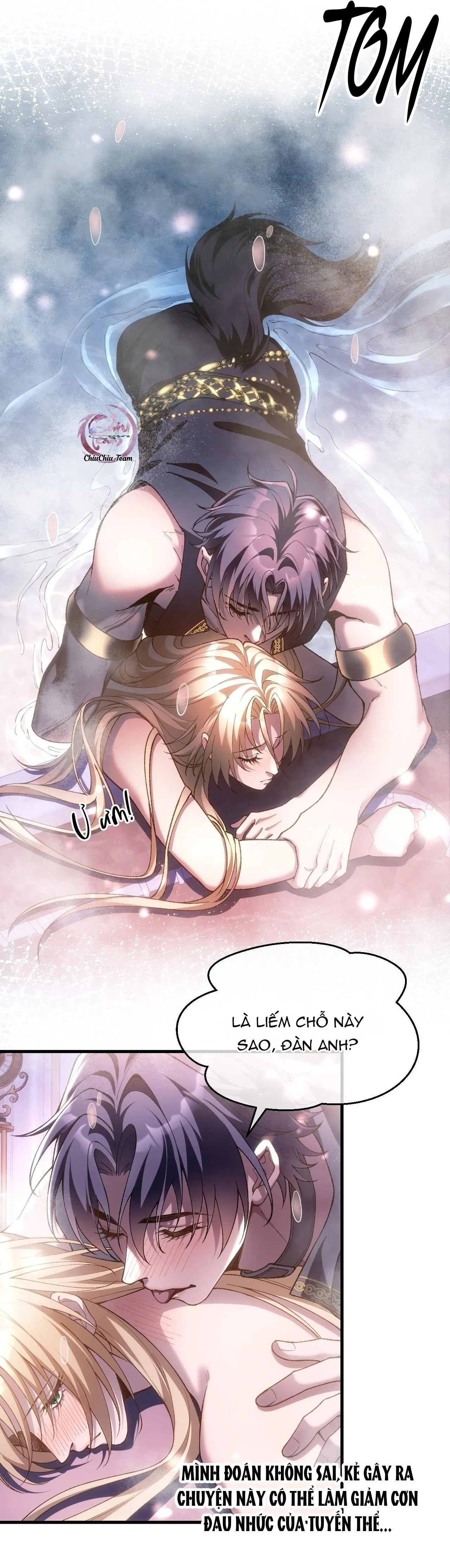 Thánh Tử Điện Hạ Bị Gán Mác Bừa Bãi Chapter 4 Trang 10