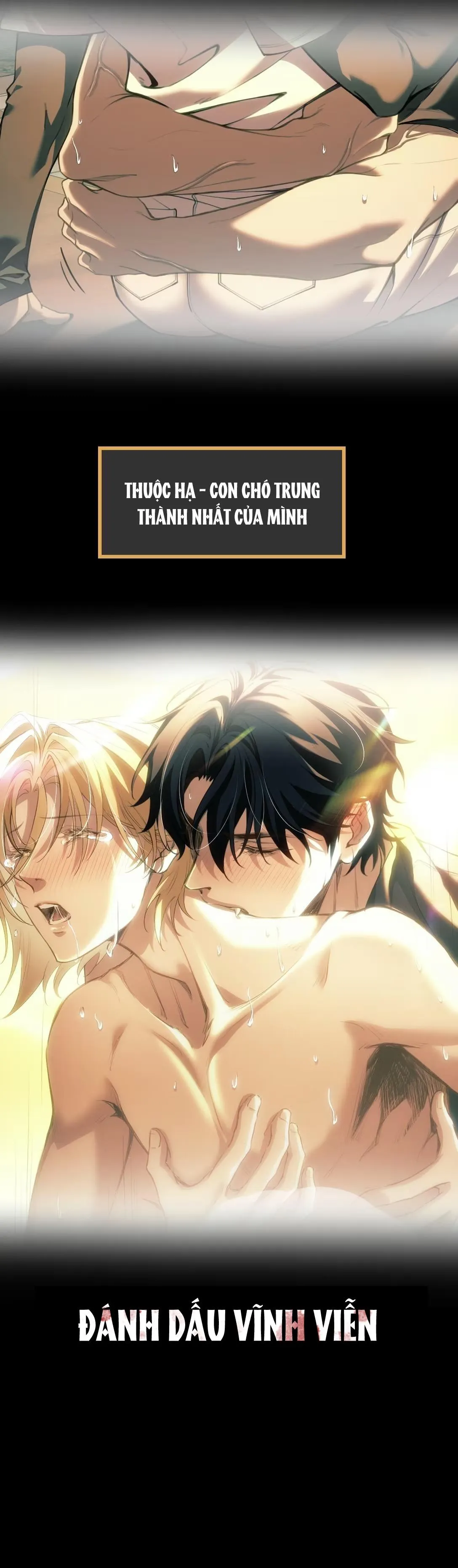 Thánh Tử Điện Hạ Bị Gán Mác Bừa Bãi Chapter 0 Trang 3