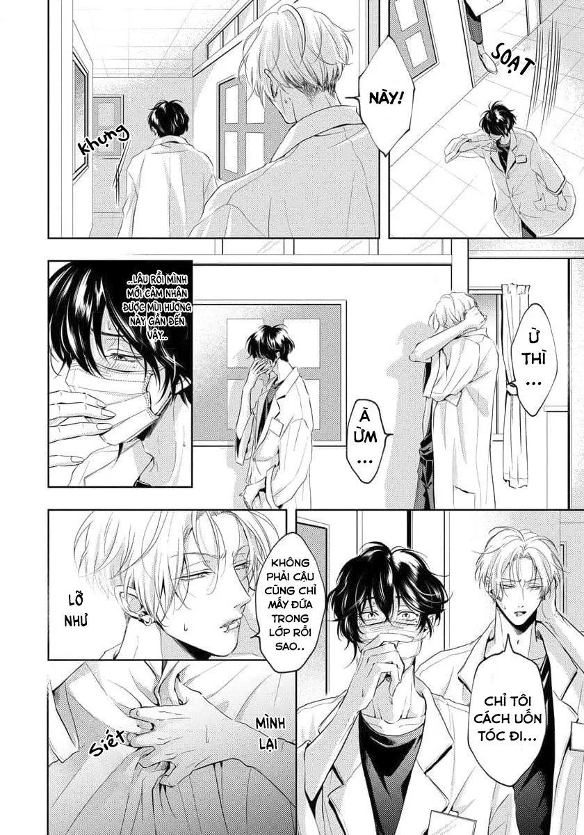 Mùi Hương Cậu Ấy Quá Cháy Bỏng Tôi Hứng Lên Rồi!! Chapter 3 Trang 17