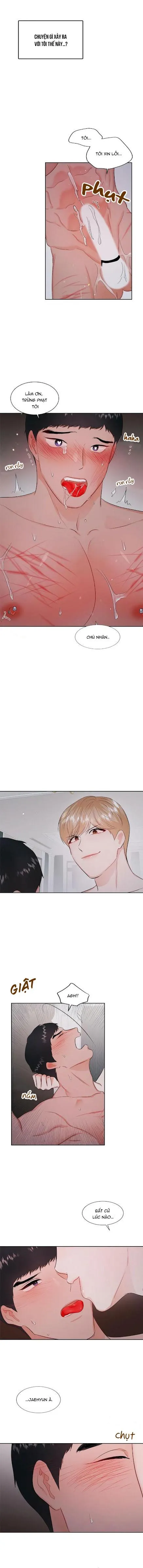 Thầy Giáo Thể Dục M Chapter 53 Trang 11