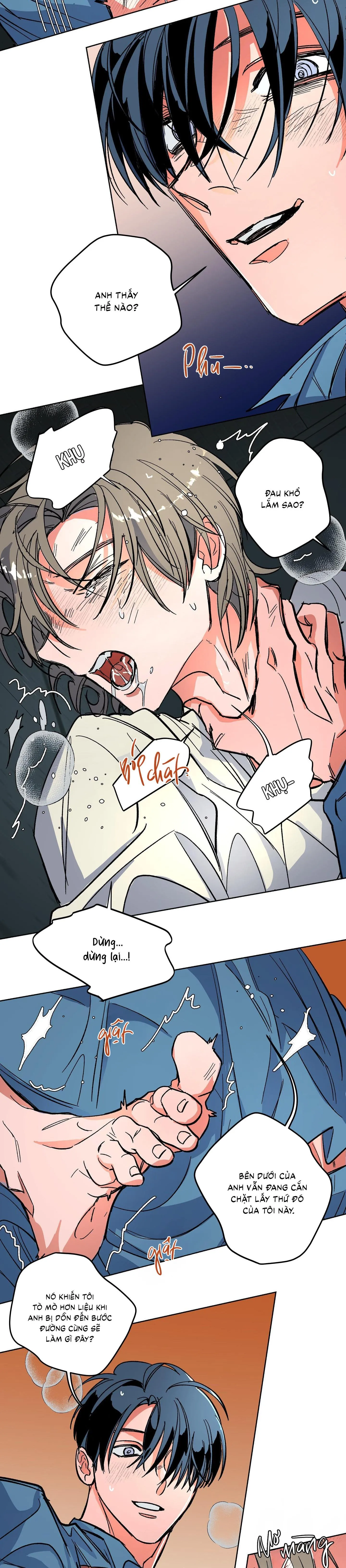 The Cell Chapter 5 Trang 12