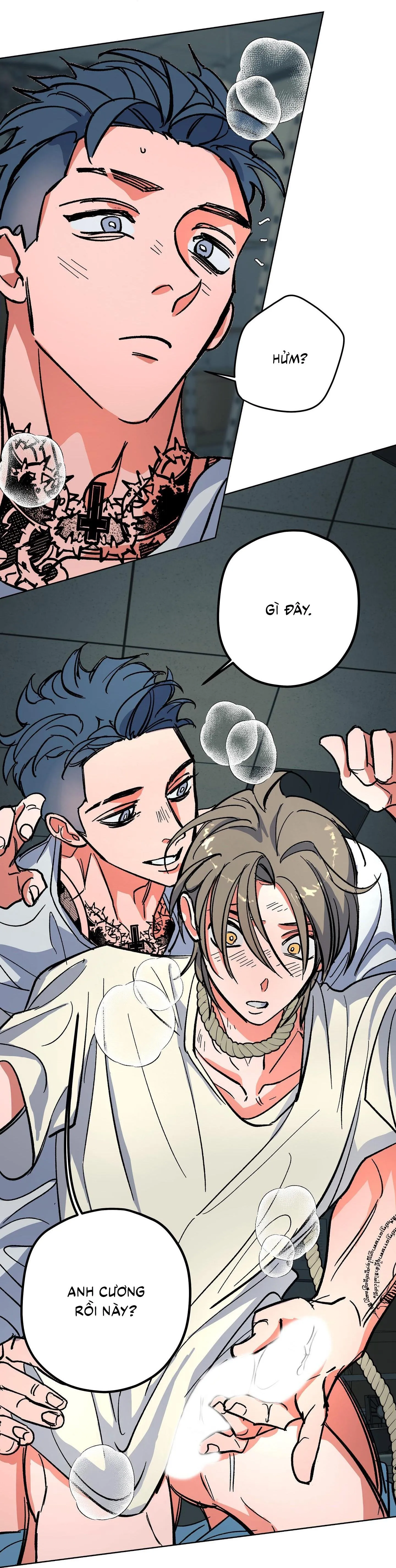 The Cell Chapter 6 Trang 14