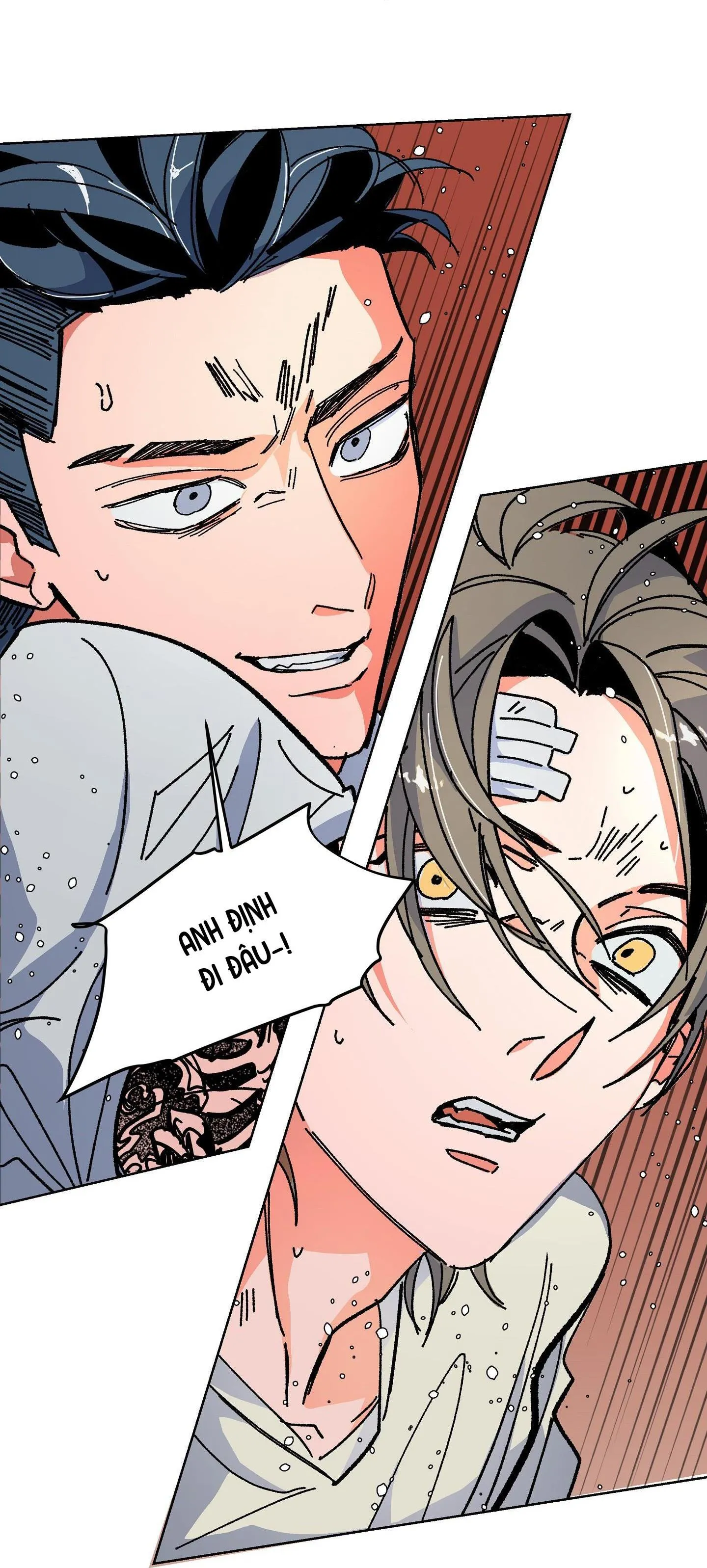 The Cell Chapter 8 Trang 5