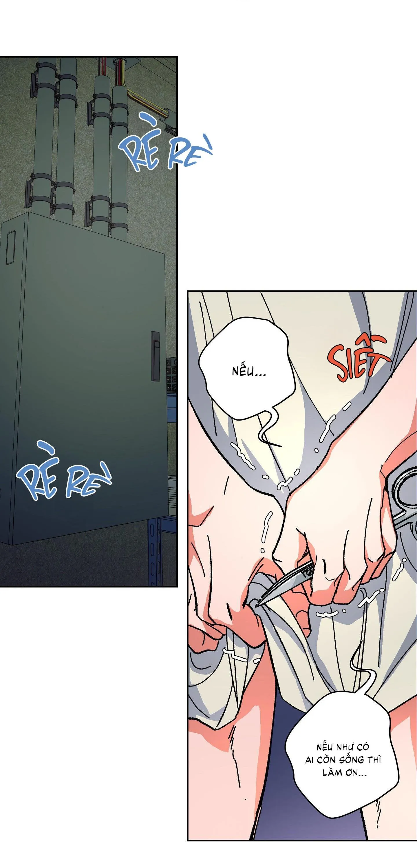 The Cell Chapter 8 Trang 10