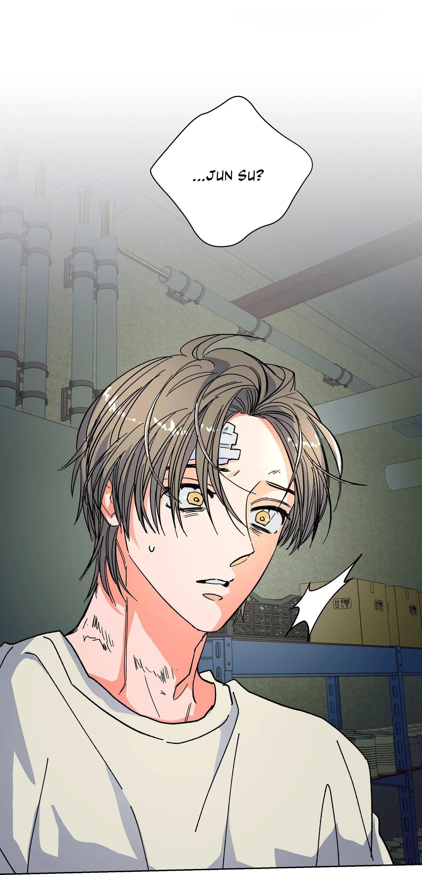 The Cell Chapter 8 Trang 11