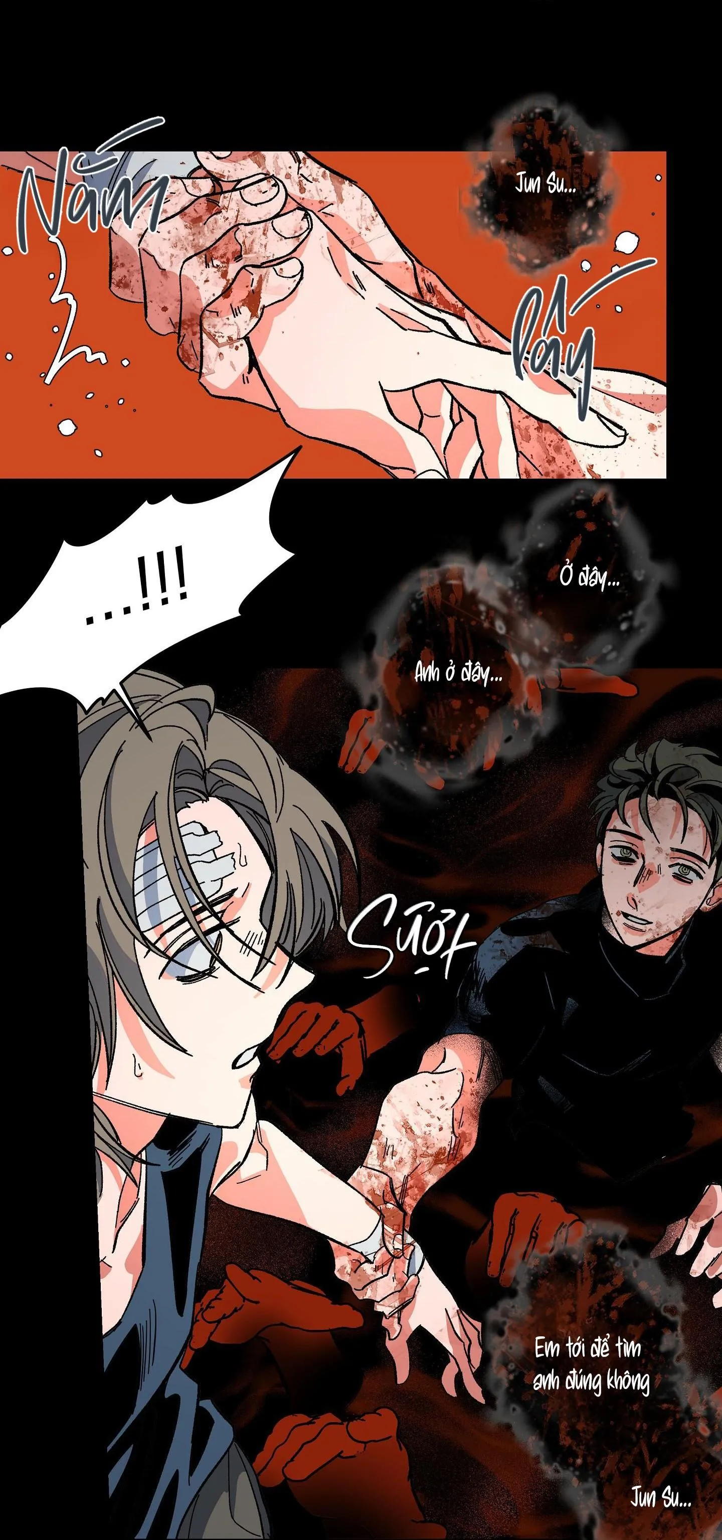 The Cell Chapter 15 Trang 43