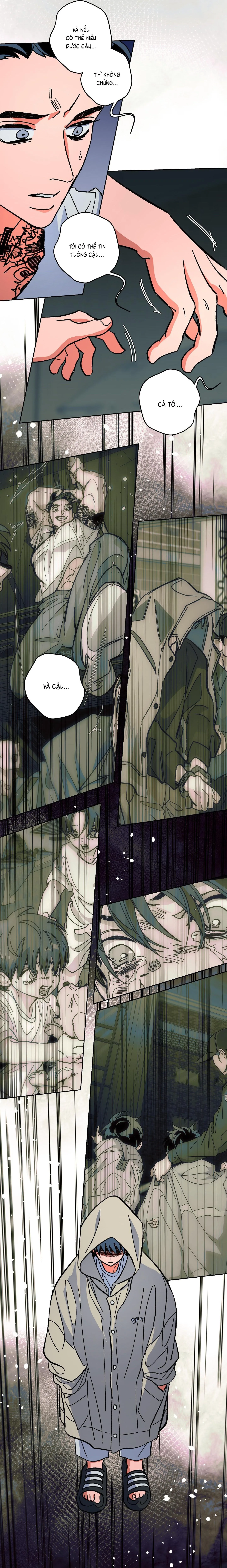 The Cell Chapter 16 Trang 28