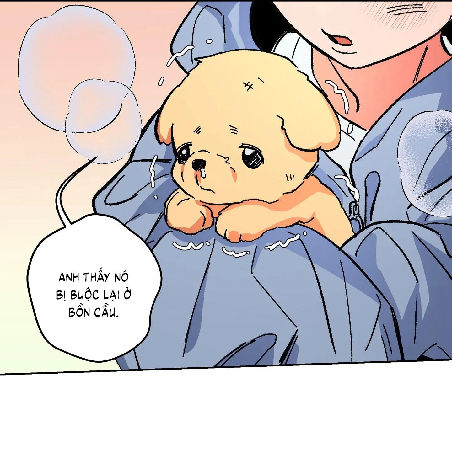 The Cell Chapter 16 Trang 35