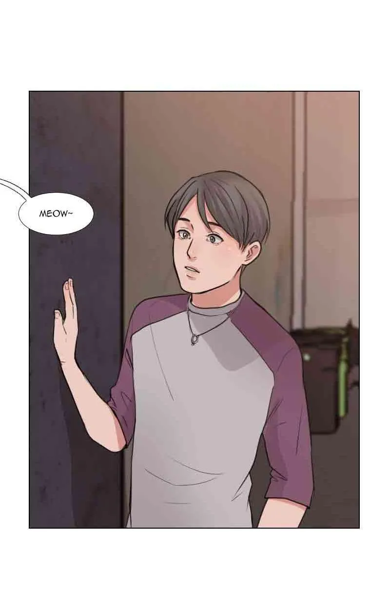 The Doctors are Out Chapter 16 Trang 31