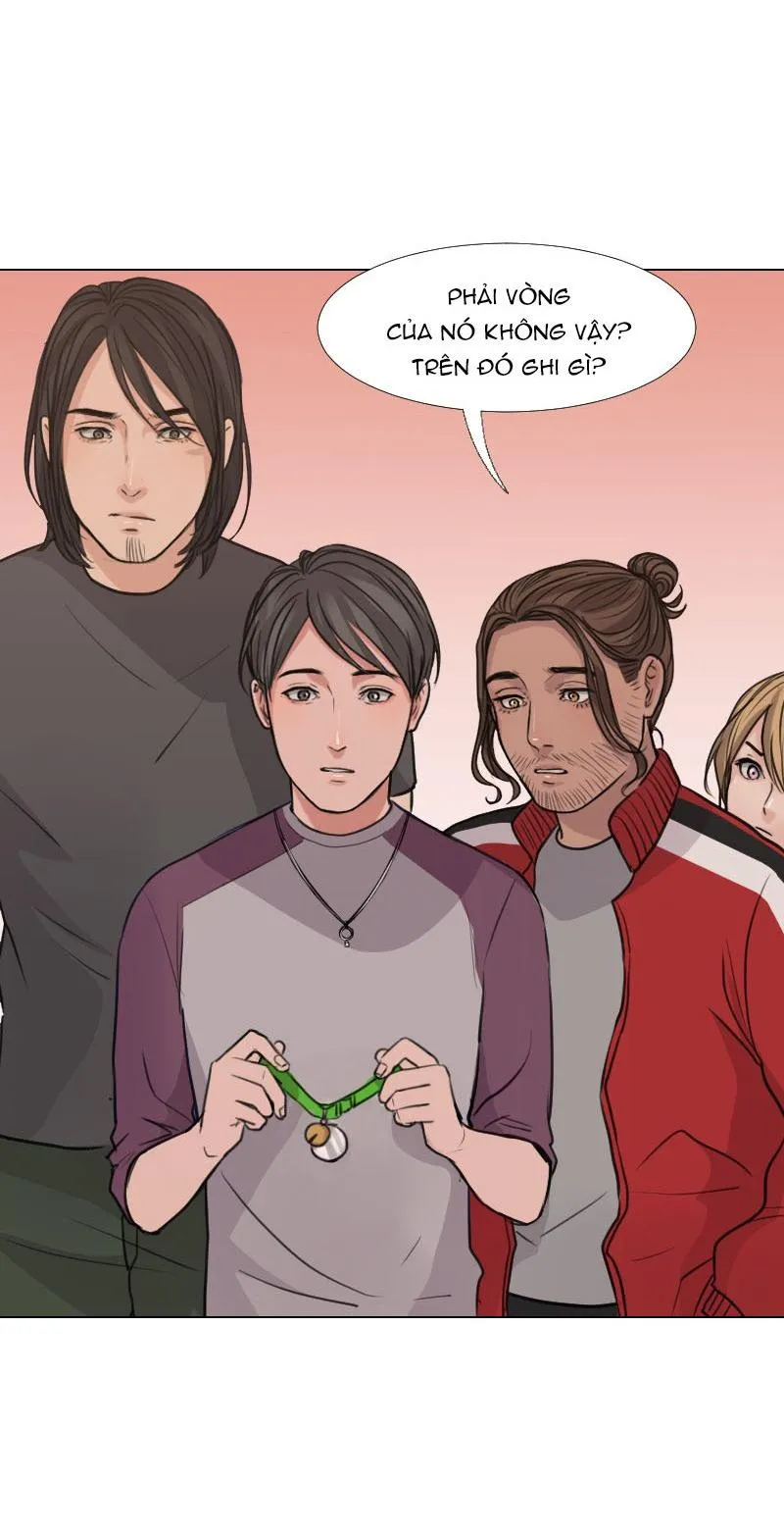 The Doctors are Out Chapter 17 Trang 14