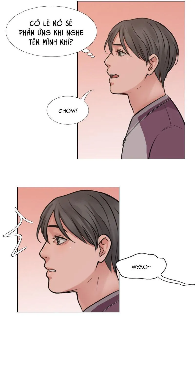 The Doctors are Out Chapter 17 Trang 16