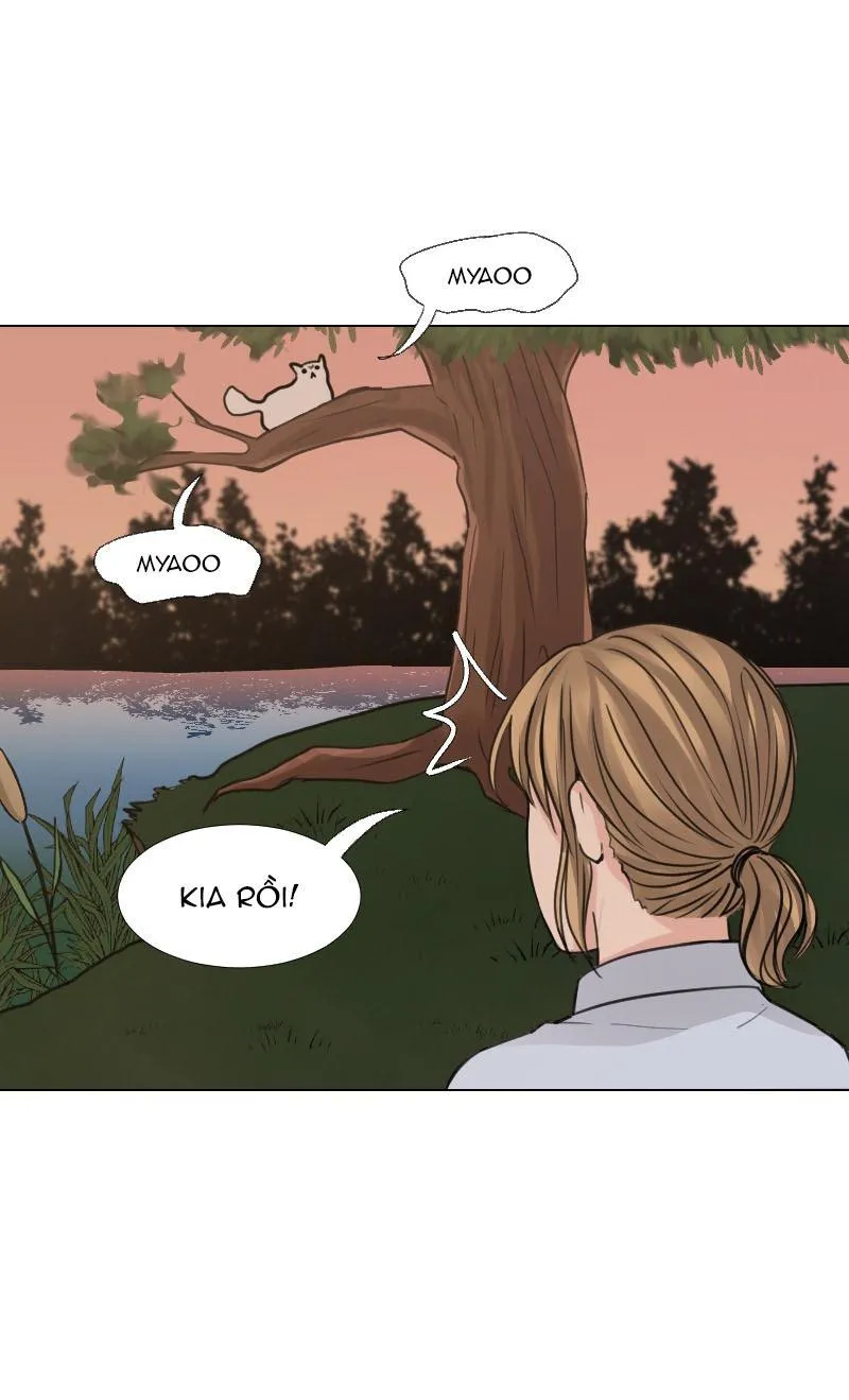 The Doctors are Out Chapter 17 Trang 21