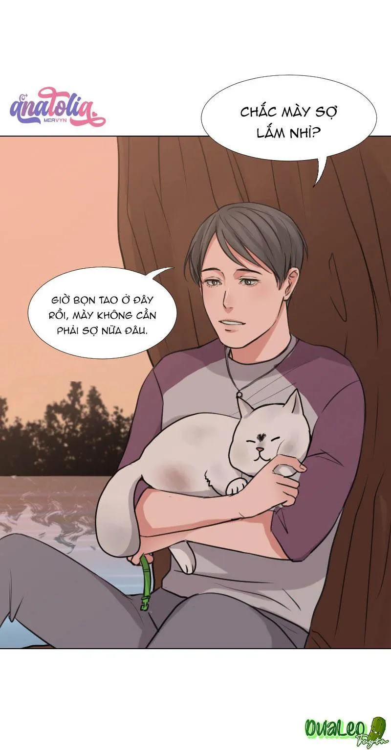 The Doctors are Out Chapter 17 Trang 33