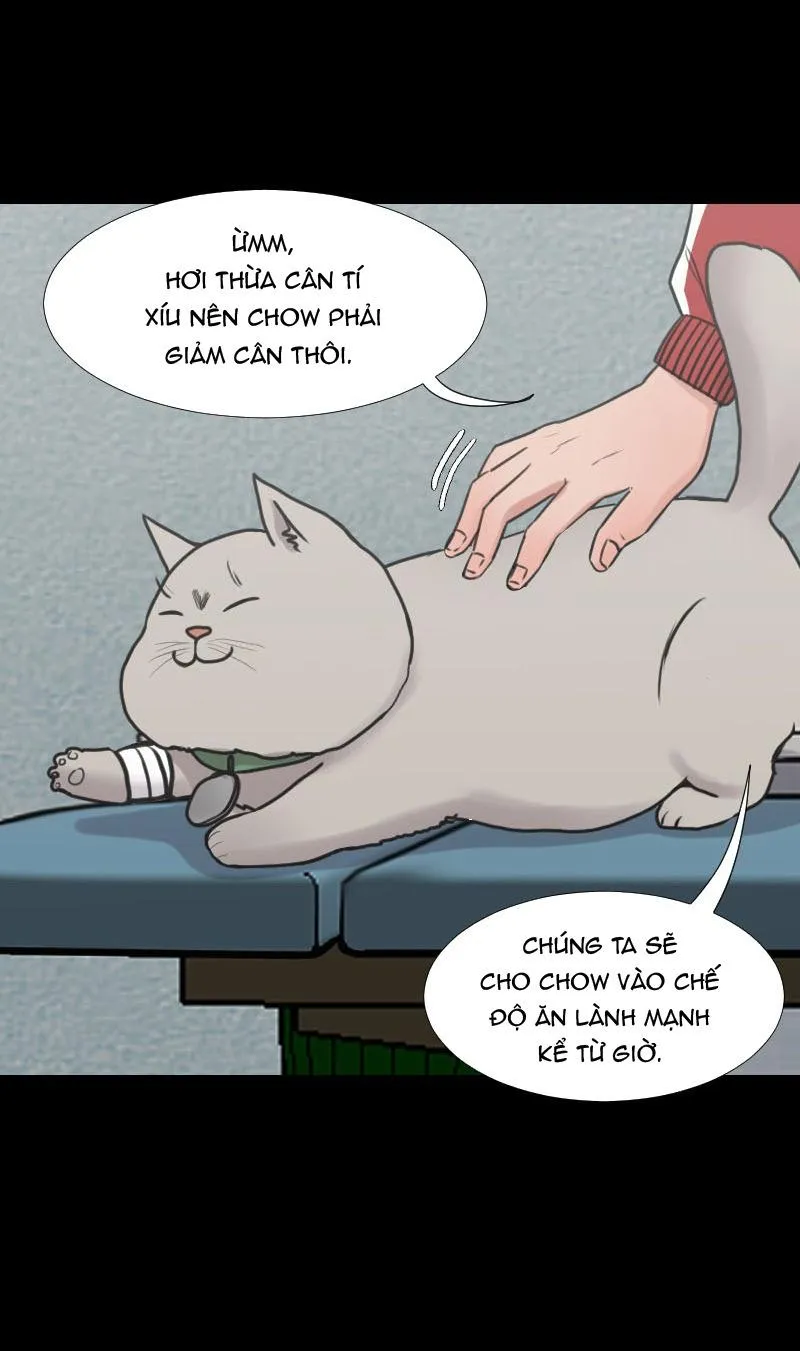 The Doctors are Out Chapter 19 Trang 11