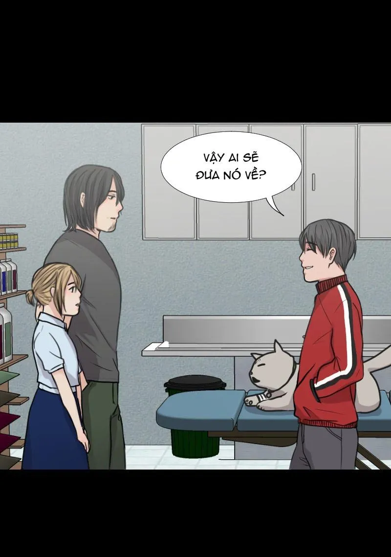 The Doctors are Out Chapter 19 Trang 12