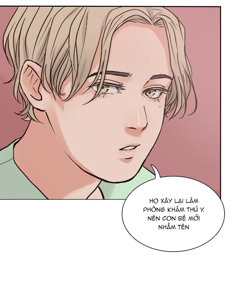 The Doctors are Out Chapter 1 Trang 19