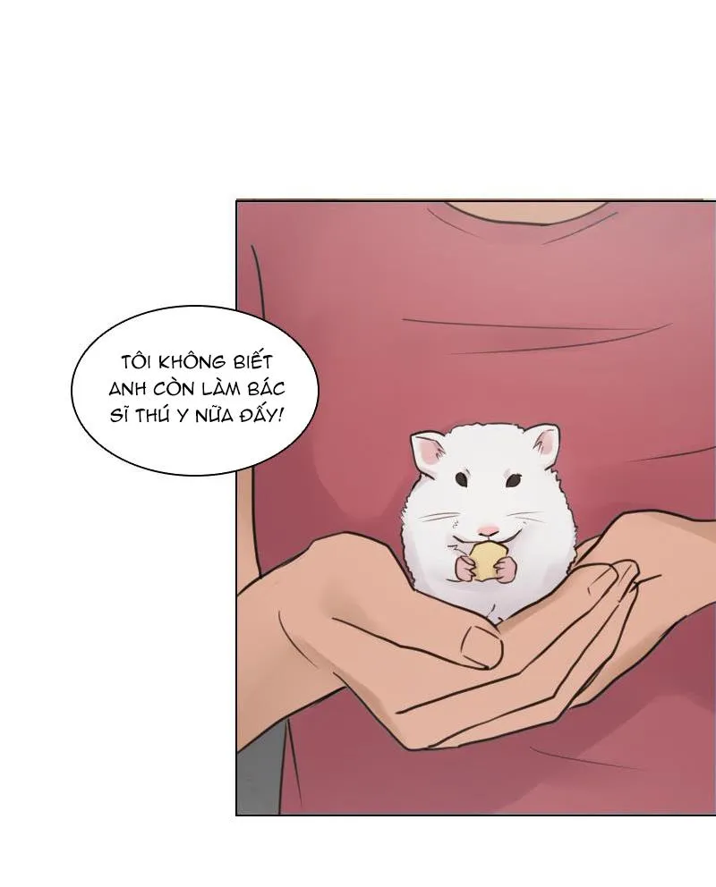 The Doctors are Out Chapter 1 Trang 31