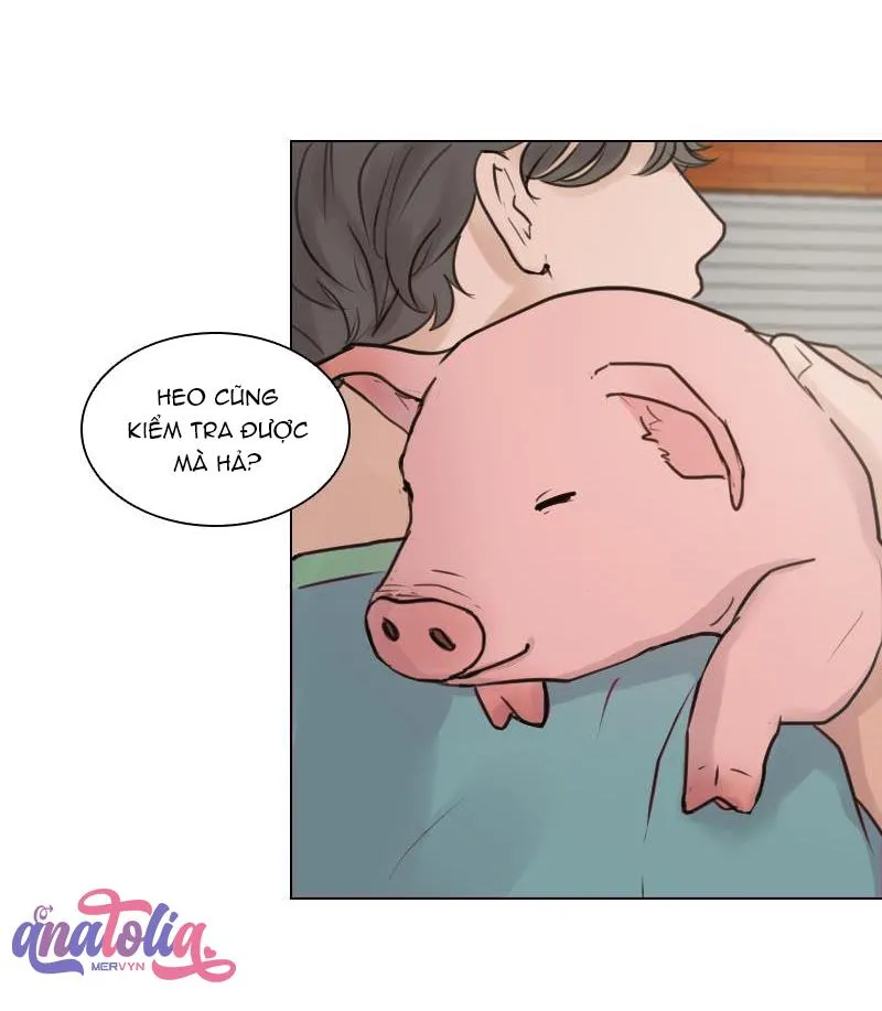 The Doctors are Out Chapter 1 Trang 33