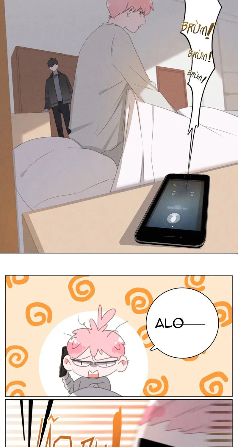 Thế giới của một chú mèo Chapter 28 Trang 8