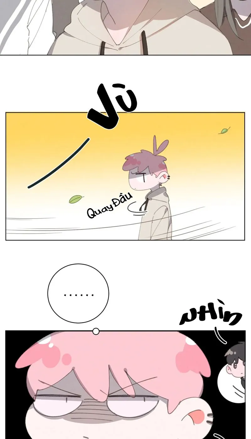 Thế giới của một chú mèo Chapter 29 Trang 6
