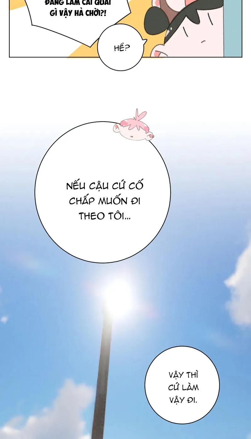 Thế giới của một chú mèo Chapter 29 Trang 10