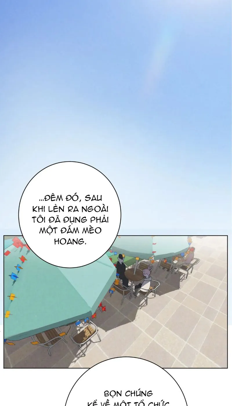 Thế giới của một chú mèo Chapter 29 Trang 34