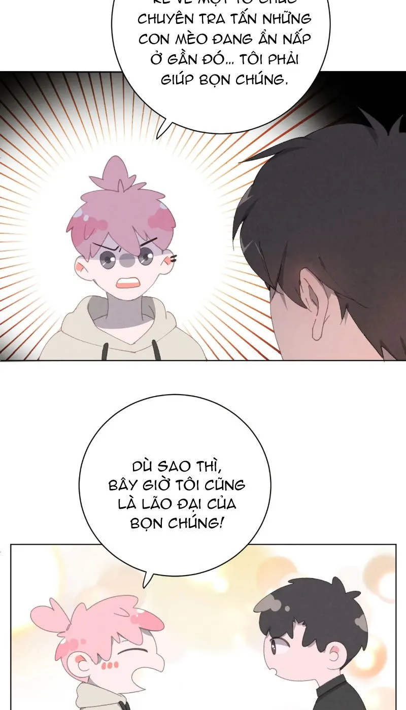 Thế giới của một chú mèo Chapter 29 Trang 35