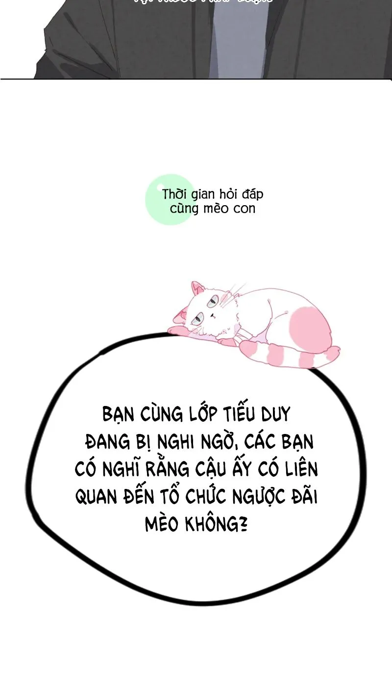 Thế giới của một chú mèo Chapter 29 Trang 38