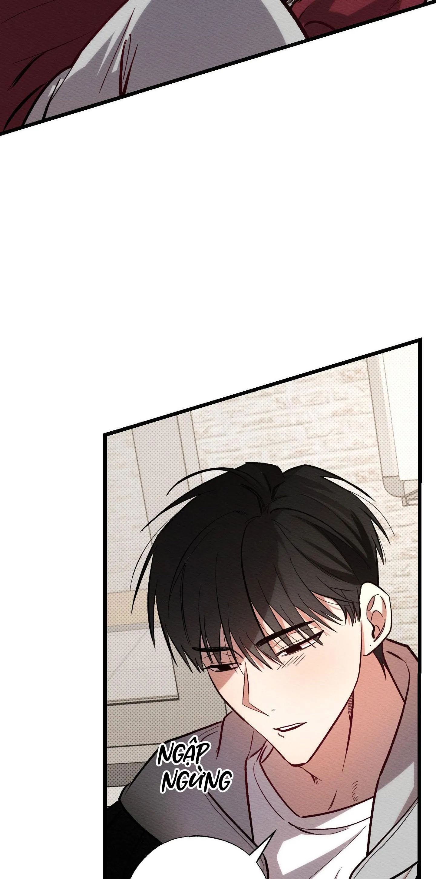 THỂ LOẠI MELO Chapter 2 Trang 13