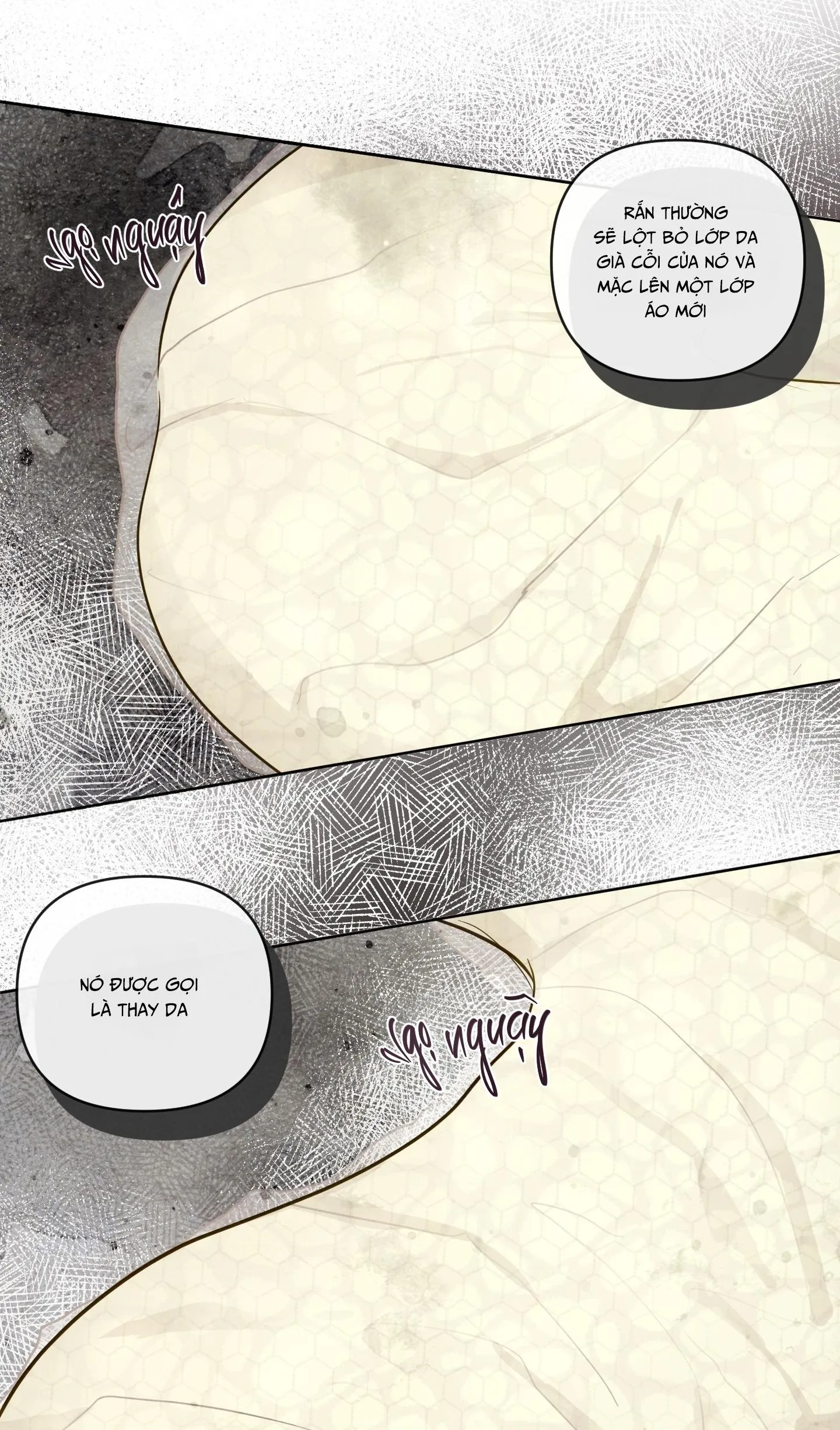 THE SACRED SERPENT'S SEDUCTION Chapter 22 Trang 33