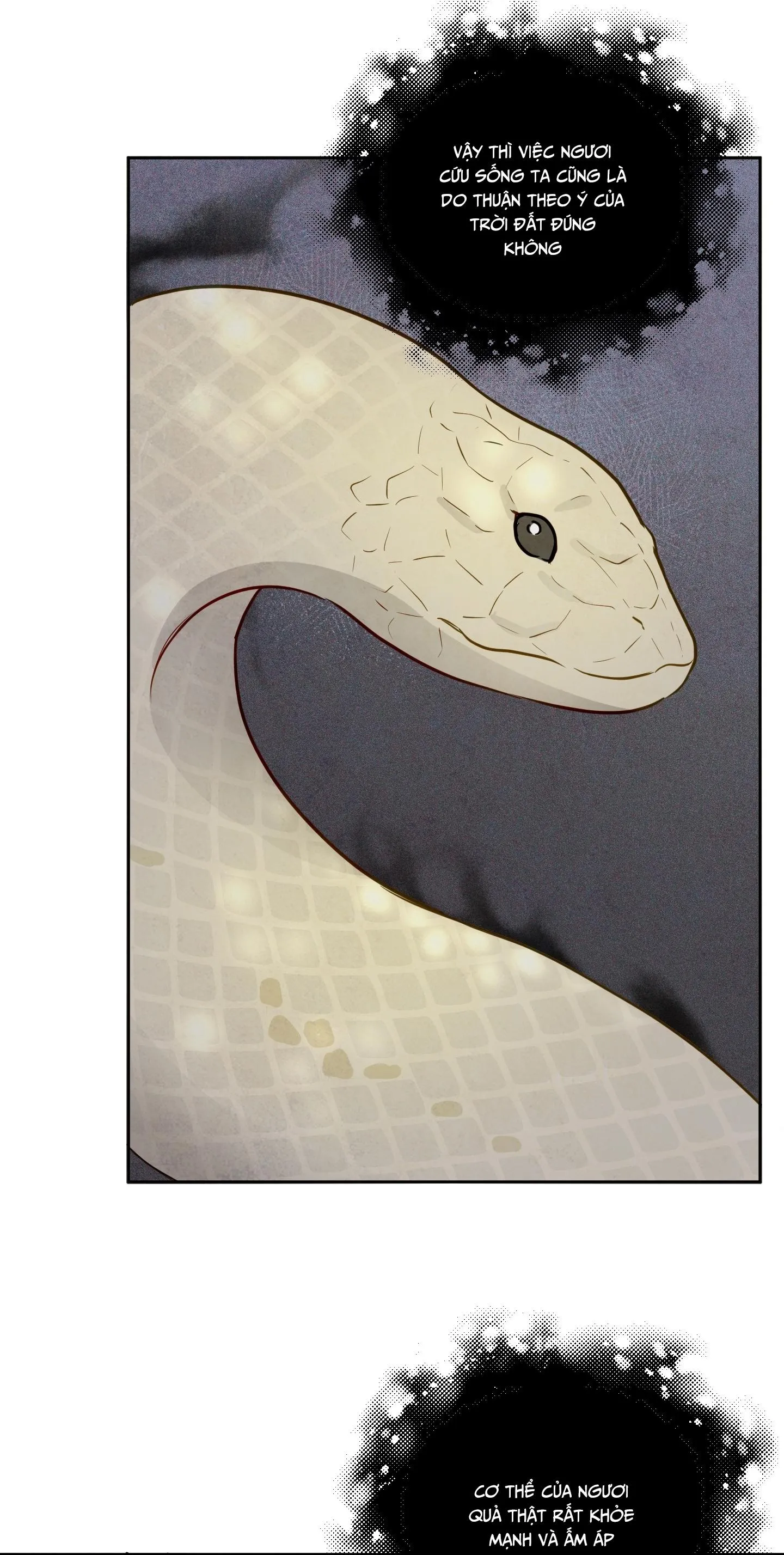 THE SACRED SERPENT'S SEDUCTION Chapter 1 Trang 55