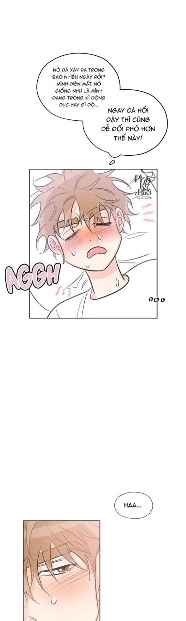 Thiên Đường May Mắn Chapter 30 Trang 19