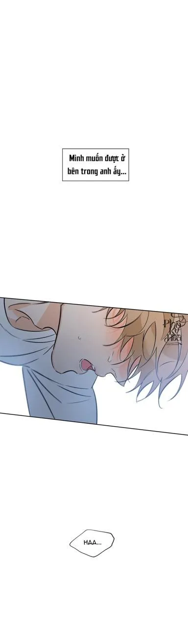 Thiên Đường May Mắn Chapter 30 Trang 29