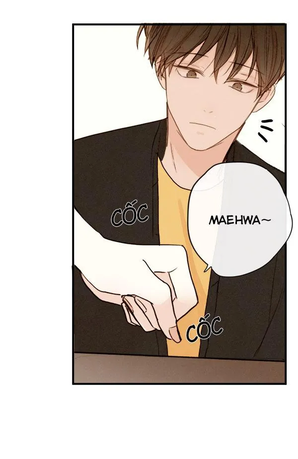 Thiên Đường Táo Xanh Chapter 13 Trang 14