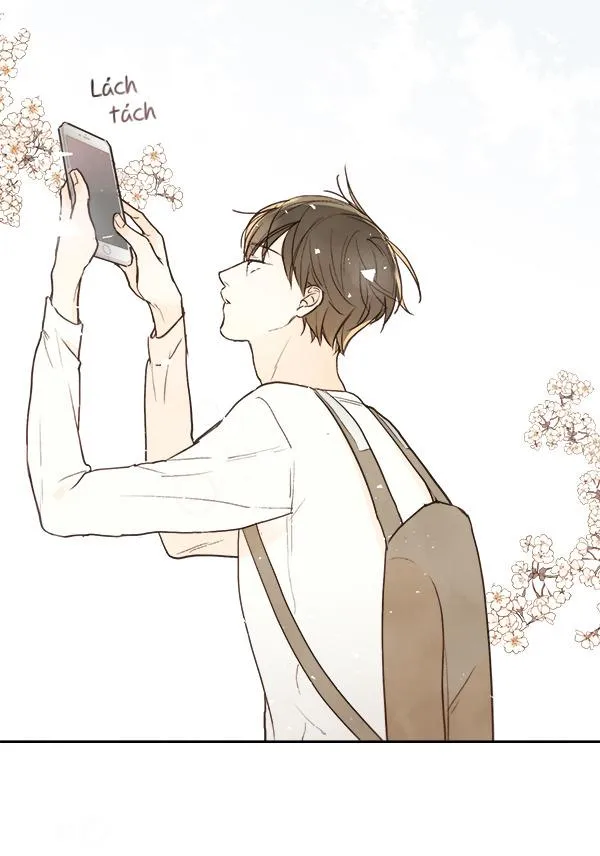 Thiên Đường Táo Xanh Chapter 14 Trang 25